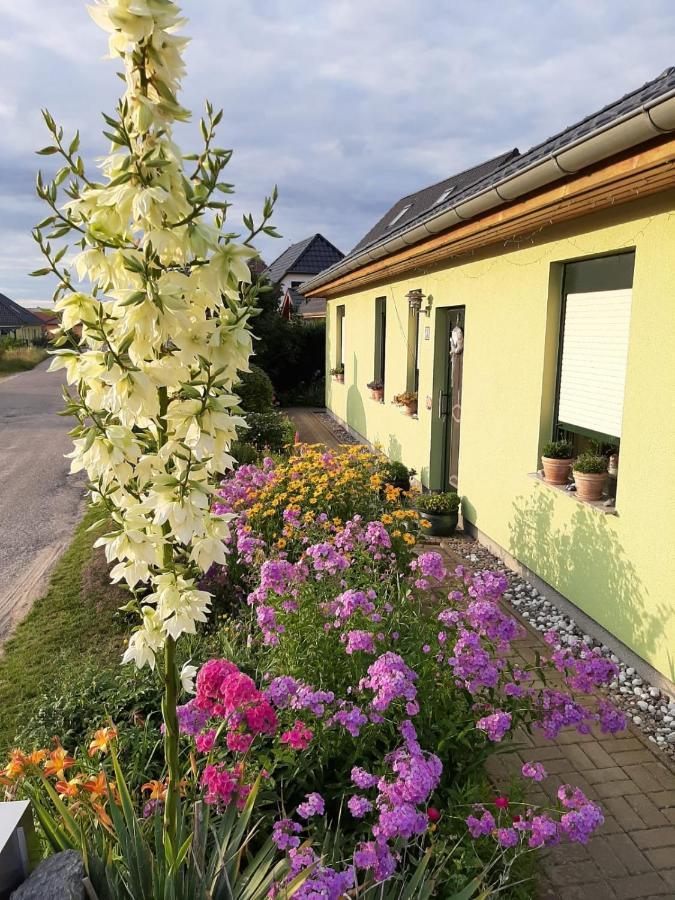 Feldberger Seen Apartment Feldberger Seenlandschaft